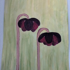 Canvas paper